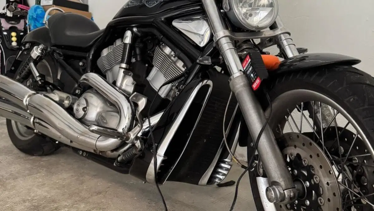 Harley-Davidson 1130 V-ROD (2002 - 05) - VRSCB  (6)