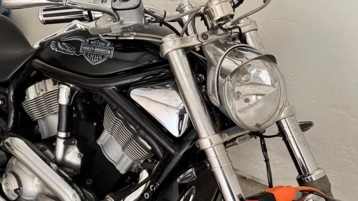 Harley-Davidson 1130 V-ROD (2002 - 05) - VRSCB  (11)