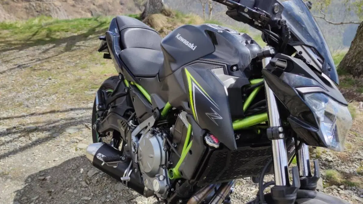 Kawasaki Z 650 (2017 - 19)  (2)