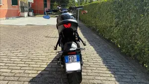 Triumph Trident 660 (2021 - 24)  (4)