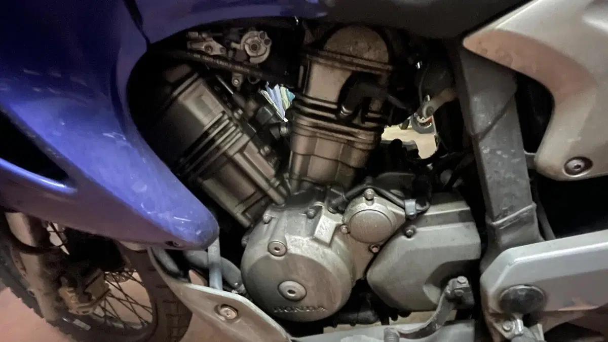 Honda Transalp XL 650V (2005 - 06)  (2)