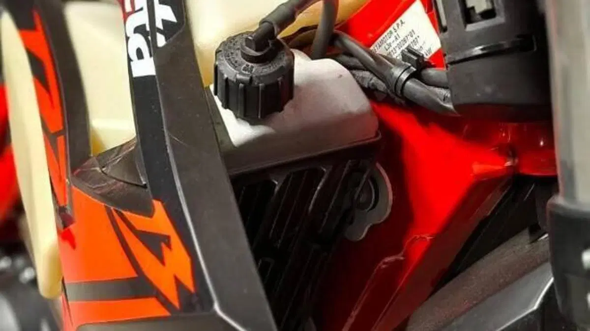 Betamotor RR 125 4T Motard R (2023 - 24)  (6)