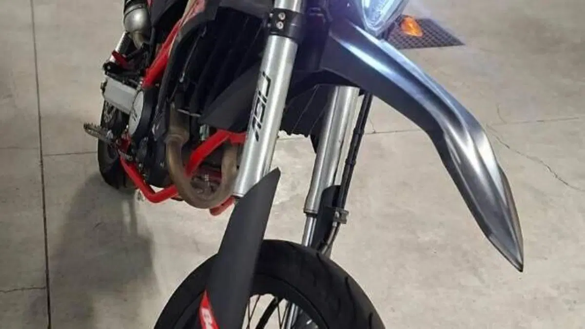 Betamotor RR 125 4T Motard R (2023 - 24)  (7)