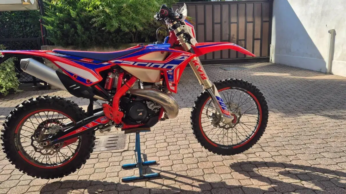 Betamotor RR 250 2T Enduro (2020) 