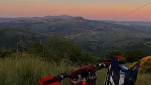 KTM 350 EXC-F (2019)  (9)