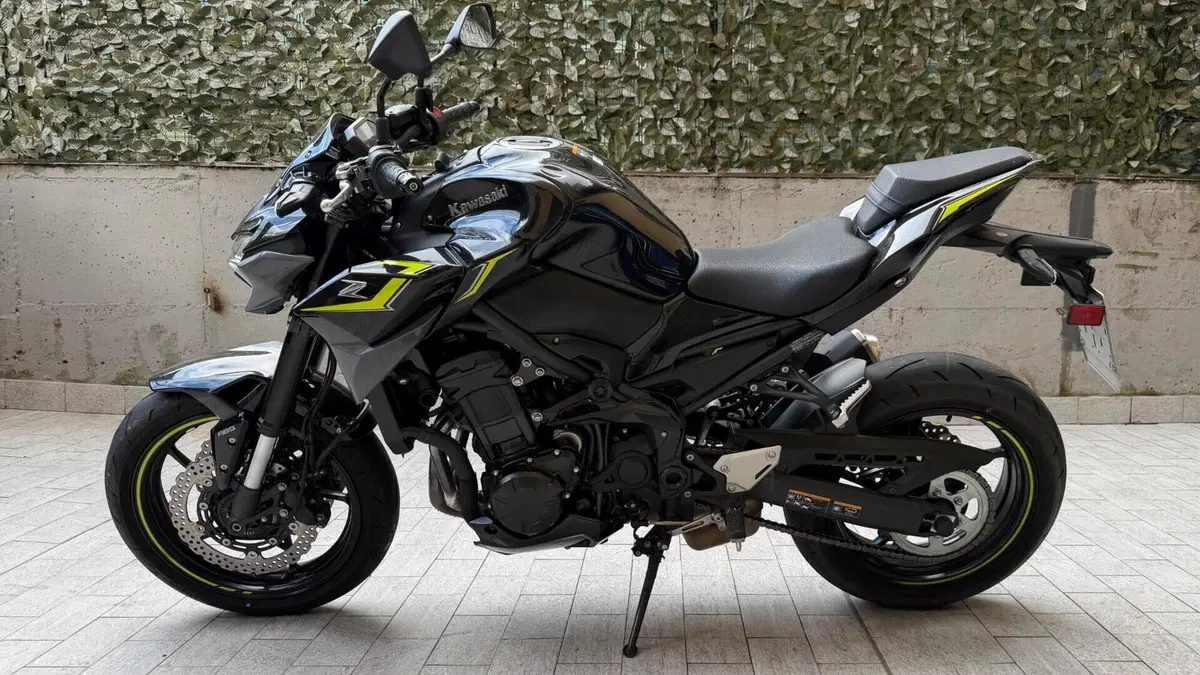 Kawasaki Z 900 (2021 - 24) 