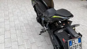 Kawasaki Z 900 (2021 - 24)  (6)