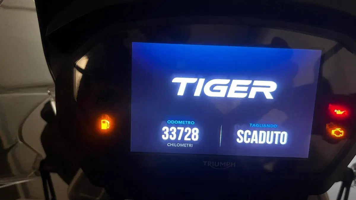 Triumph Tiger 800 XRt (2018 - 20)  (5)