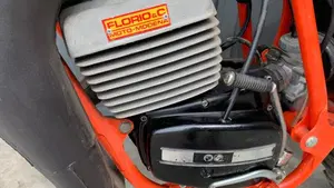 Puch Frigerio   (9)