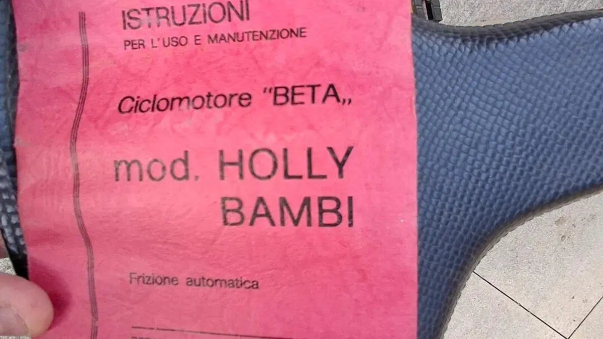 Betamotor   (6)