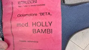 Betamotor   (6)