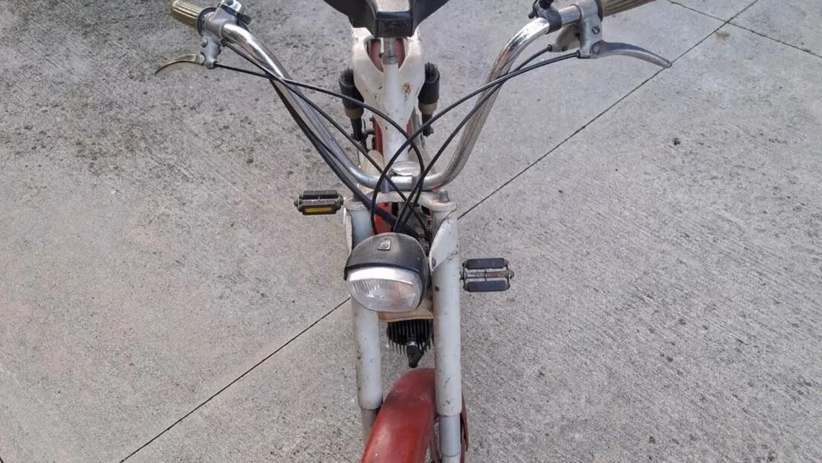 Betamotor   (2)