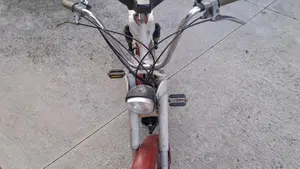 Betamotor   (2)
