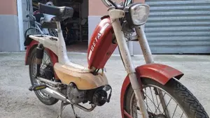 Betamotor   (3)