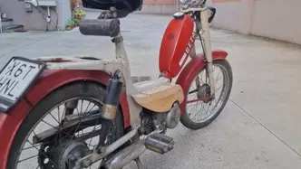 Betamotor 