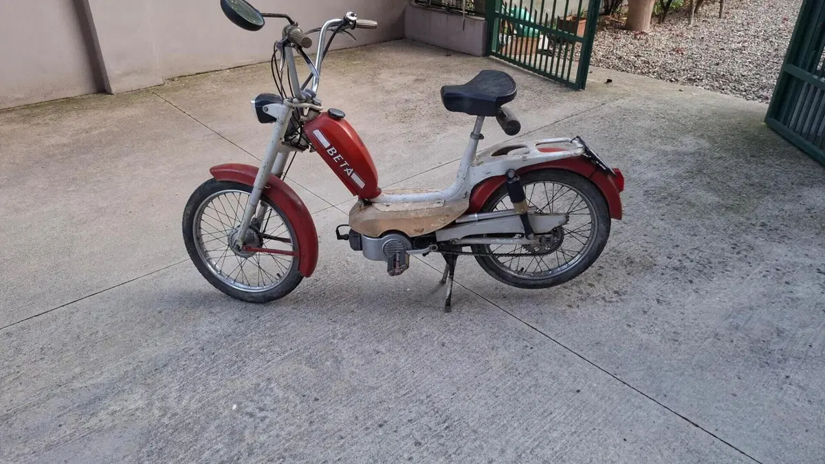 Betamotor   (8)