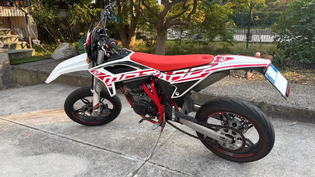 Betamotor RR 125 4T Motard LC (2021 - 23)  (3)