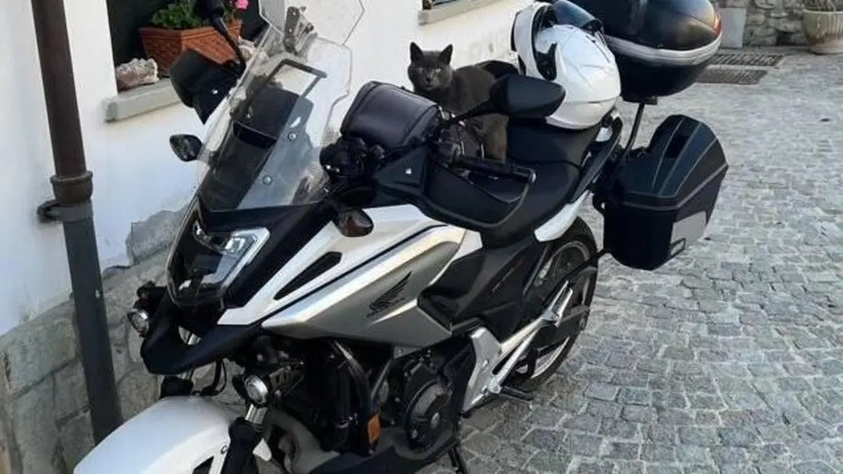 Honda NC 750 X DCT ABS (2018 - 20)  (5)