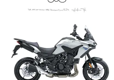 Kawasaki Versys 900 (2027) - Annuncio 10141650