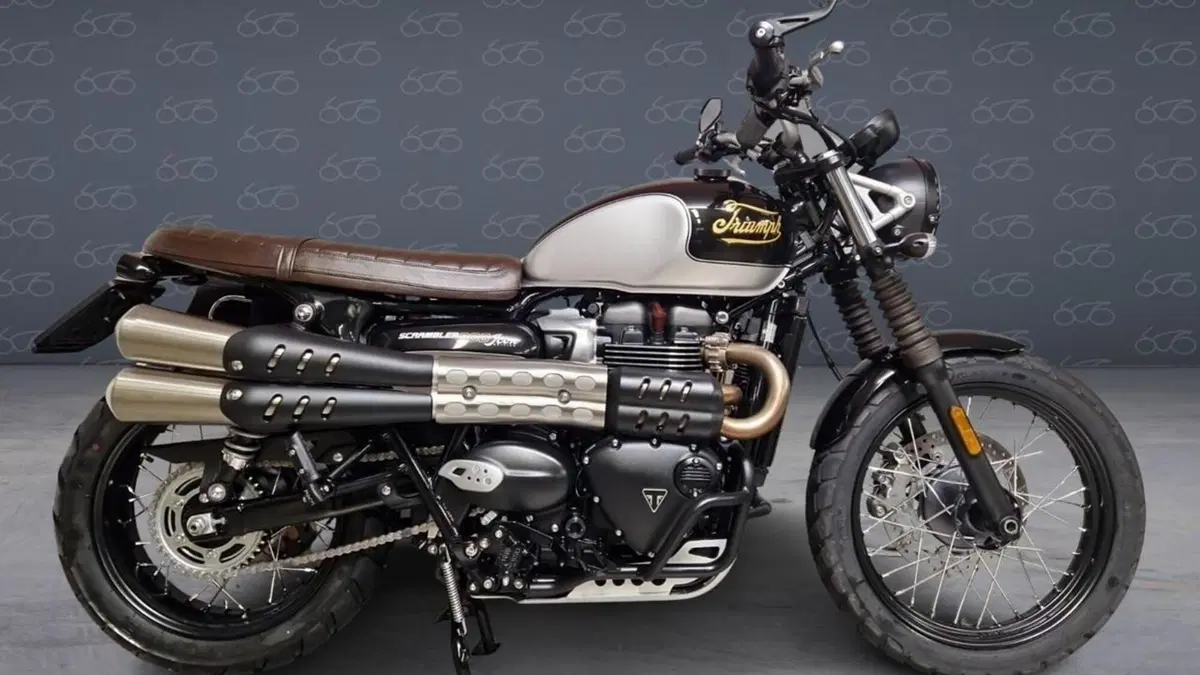 Triumph Scrambler 900 (2023 - 25) 