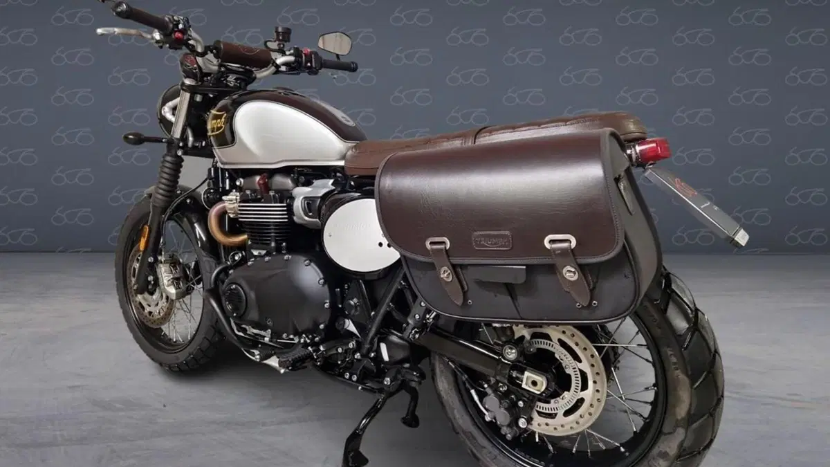 Triumph Scrambler 900 (2023 - 25)  (4)