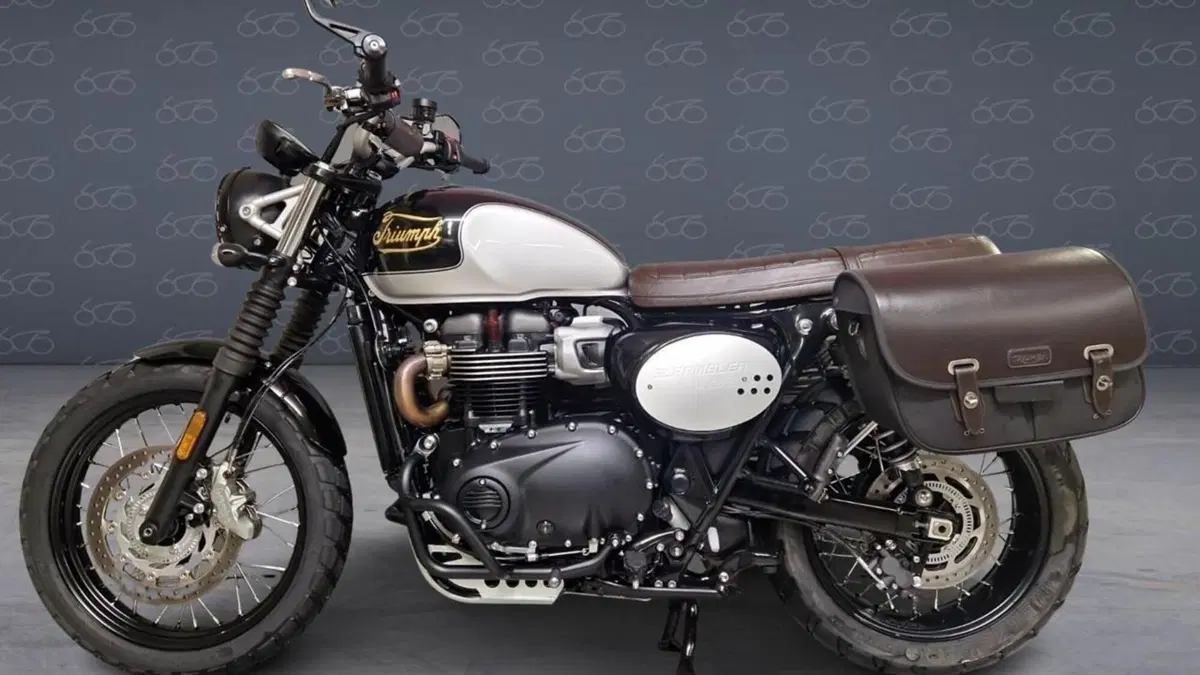 Triumph Scrambler 900 (2023 - 25)  (3)