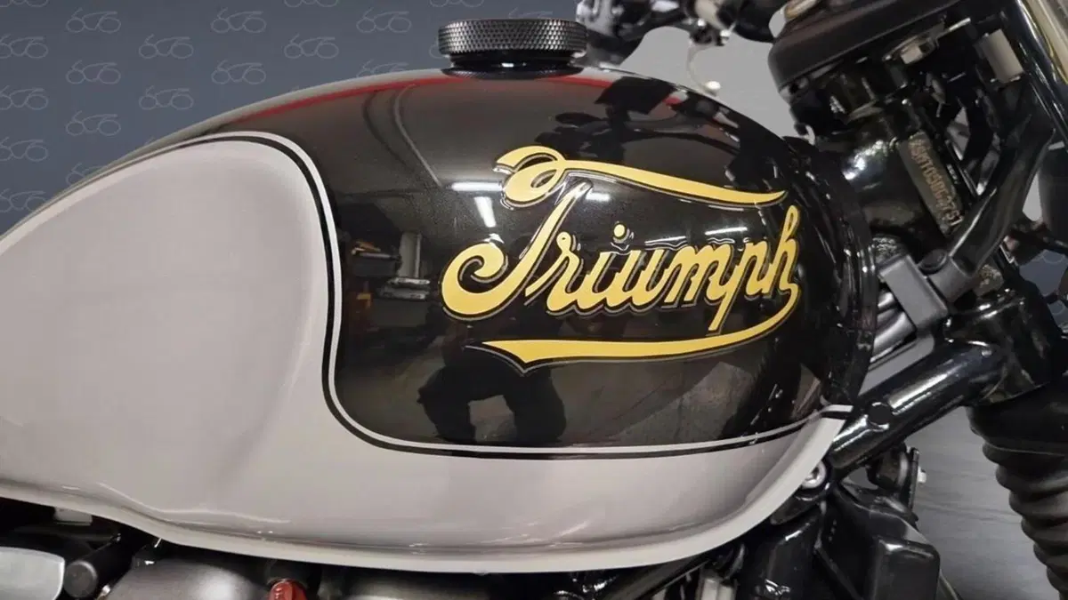 Triumph Scrambler 900 (2023 - 25)  (6)
