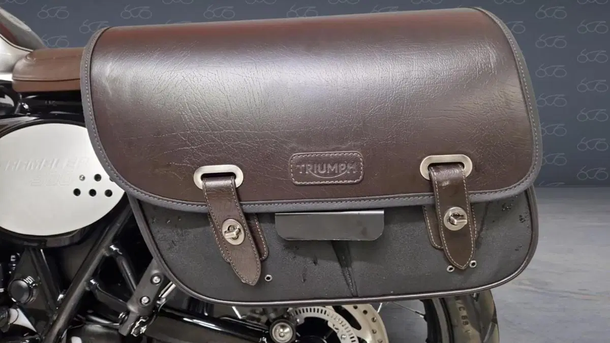 Triumph Scrambler 900 (2023 - 25)  (7)