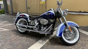 Harley-Davidson 1584 Deluxe (2007 - 08) - FLSTN 