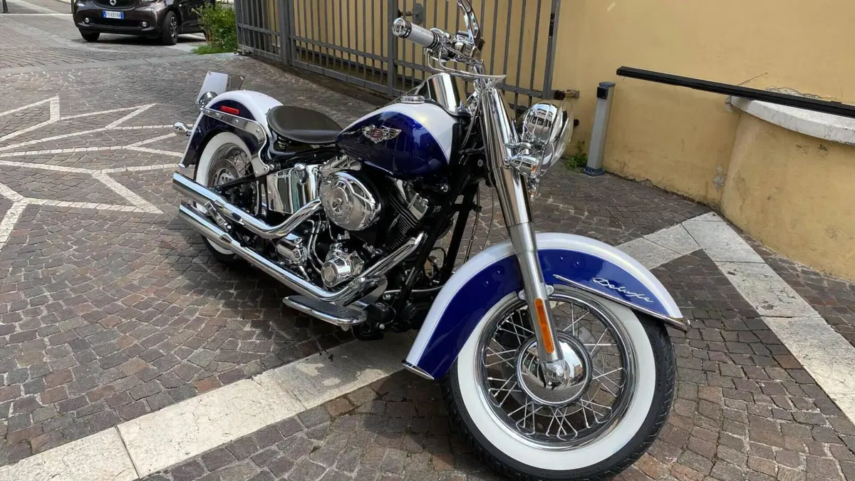 Harley-Davidson 1584 Deluxe (2007 - 08) - FLSTN  (2)