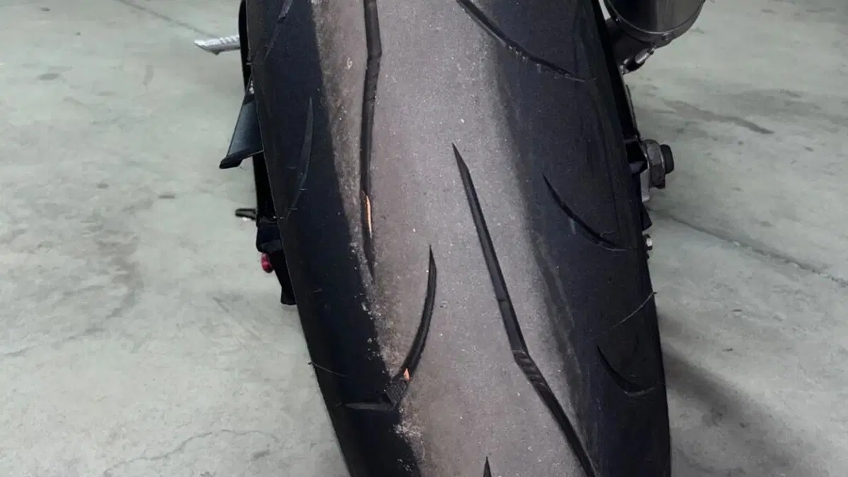 Suzuki GSX-R1000 (2005 - 06)  (5)