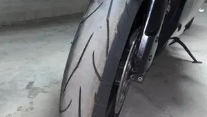 Suzuki GSX-R1000 (2005 - 06)  (6)