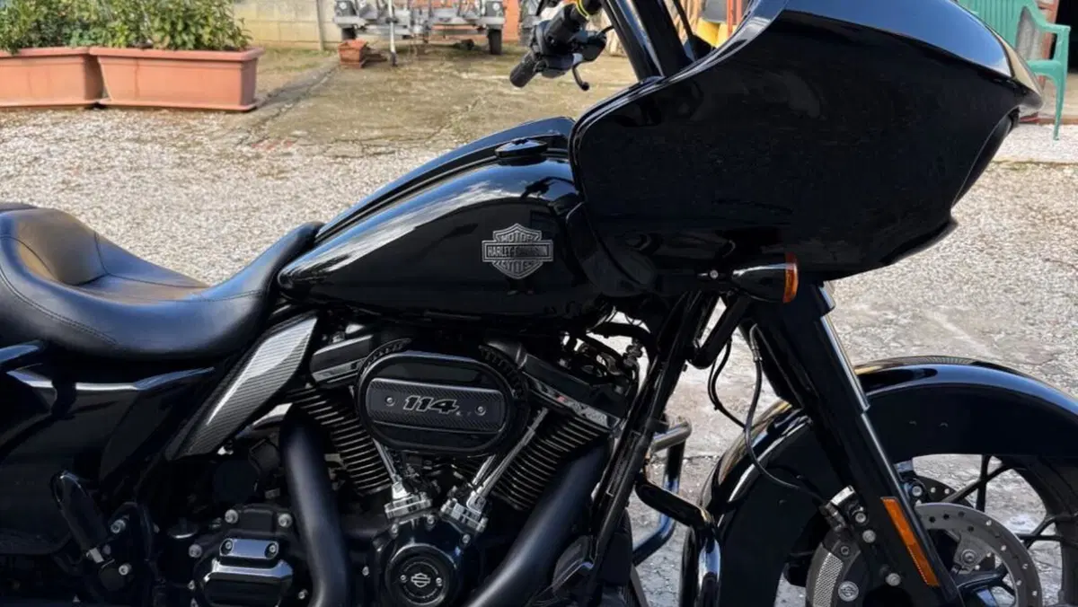 Harley-Davidson Road Glide Special (2021 - 23)  (2)