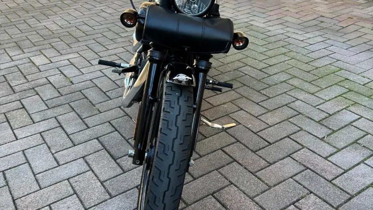 Harley-Davidson XL 1200N Nightster (2008 - 12)  (3)