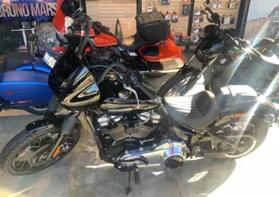 Harley-Davidson Street Bob 117 (2025 - 26) - Annuncio 10141781
