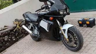Yamaha FZS 600 Fazer (1998 - 01) usata