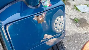 Piaggio   (3)