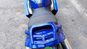 Yamaha FJR 1300 (2001 - 03)  (7)