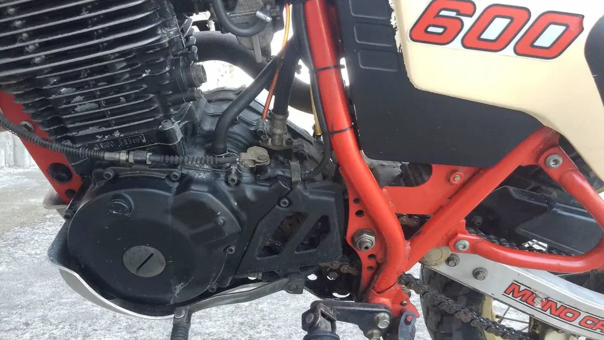 Yamaha   (6)