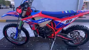 Betamotor RR 250 2T Enduro (2024)  (2)