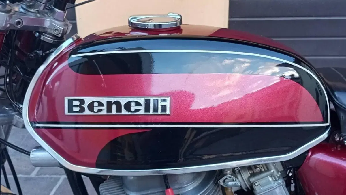 Benelli   (6)