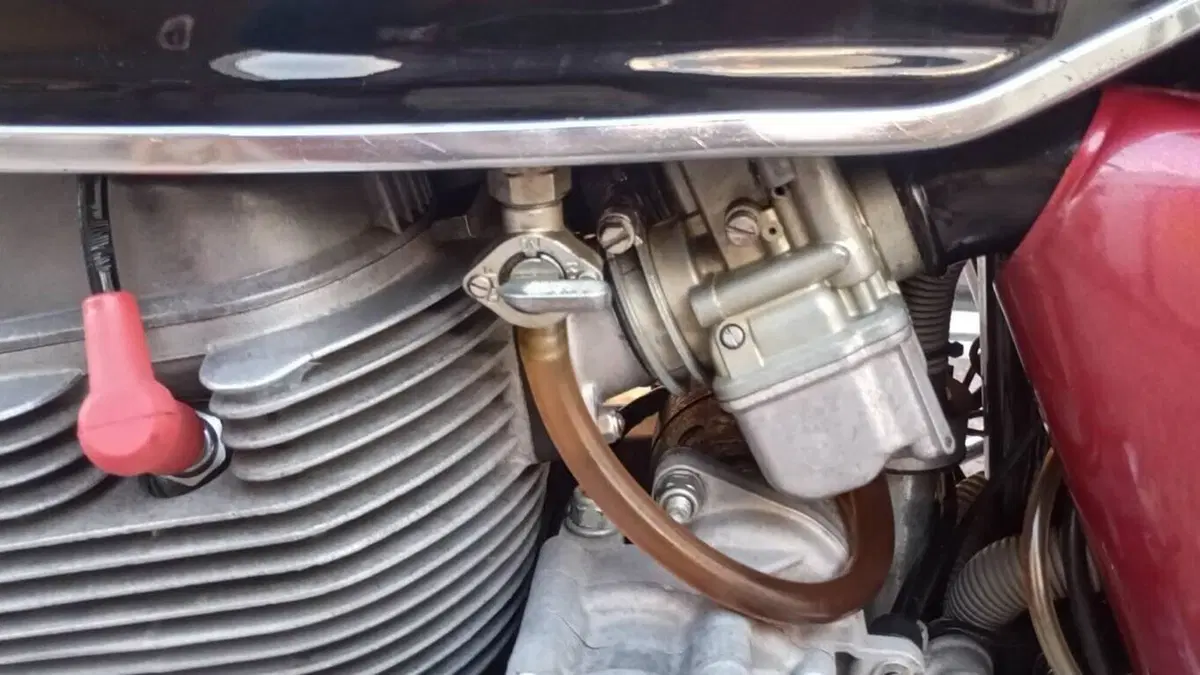 Benelli   (11)