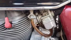 Benelli   (11)