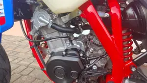 Betamotor RR 125 4T Motard R (2023 - 24)  (5)