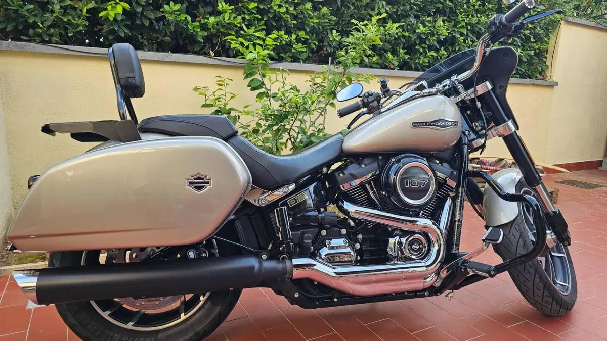 Harley-Davidson Sport Glide (2021 - 25)  (3)