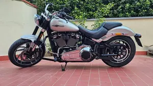 Harley-Davidson Sport Glide (2021 - 25)  (2)