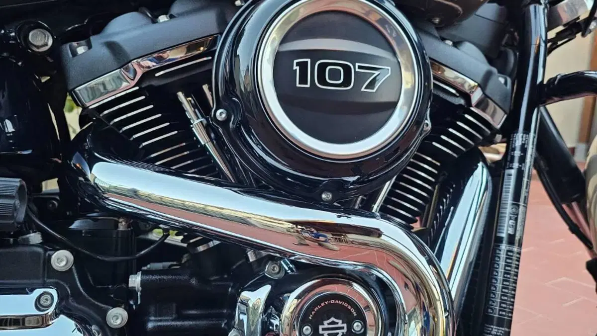 Harley-Davidson Sport Glide (2021 - 25)  (8)