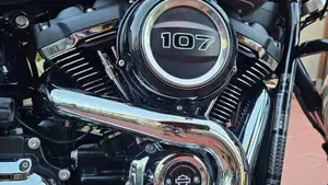 Harley-Davidson Sport Glide (2021 - 25)  (8)