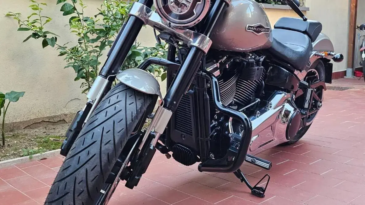 Harley-Davidson Sport Glide (2021 - 25)  (6)