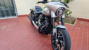 Harley-Davidson Sport Glide (2021 - 25)  (7)